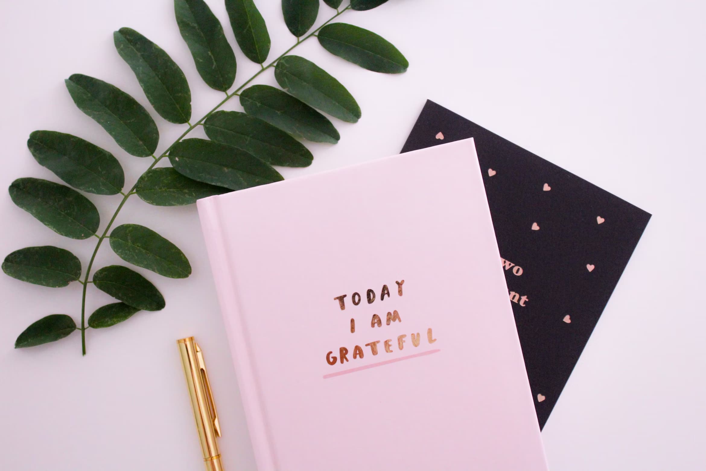 "I'm Grateful for..." Quotes: 67 Sayings to Brighten Your Day